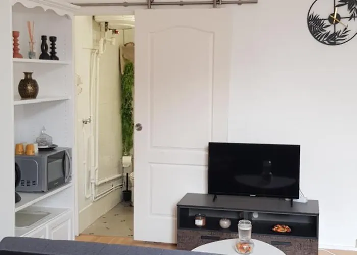 Hotel-dieu Daire Nantes